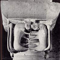 Immagine decorativa