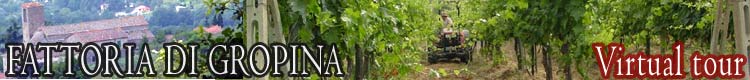 Fattoria di Gropina - Virtual Tour