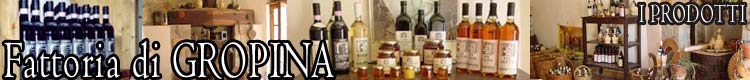 Fattoria di Gropina - vendita vino chianti, olio, miele