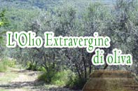 Olio extra vergine